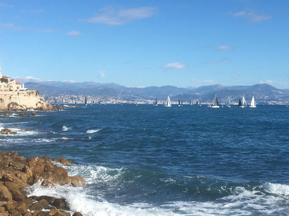 Tortue De Mer Antibes Bagian luar foto