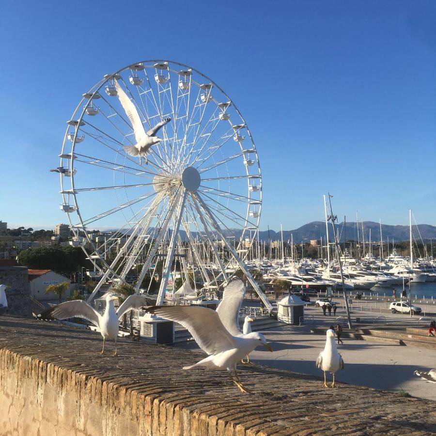 Tortue De Mer Antibes Bagian luar foto